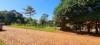 Thumbnail TERRENO 4216 M2 EN KM 05 LADO MONDAY0