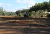 Thumbnail FRACCIONAMIENTO SAN JOSE INDUSTRIAL EN HERNANDARIAS0