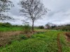 Thumbnail 4 LOTES EN KM 16 LADO MONDAY A 1000 M DE LA RUTA PY020