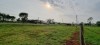 Thumbnail 100x50 5000 m2 en HERNANDARIAS ENFRENTE PARQUE INDUSTRI0