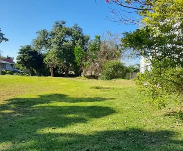 th.outside1200x1200.0f767a40514e49cb85eec69a9c8e88f67e5ff517