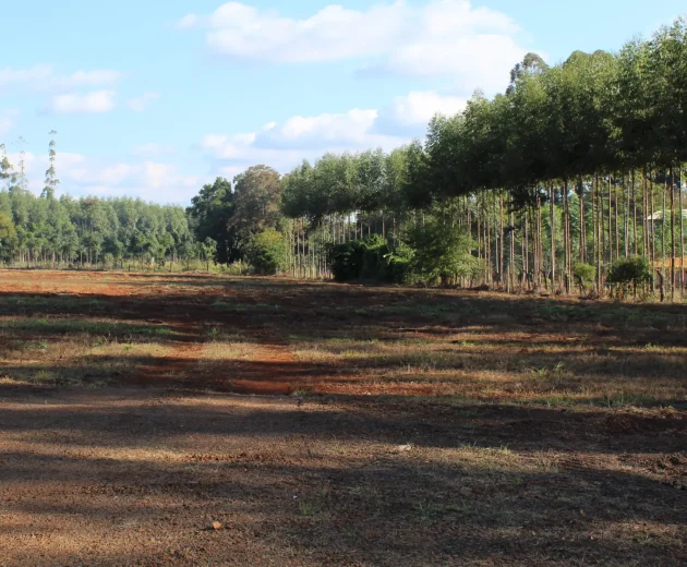 th.outside1200x1200.1c281ed614e376b05805b85026cd97ffc9b8d96e