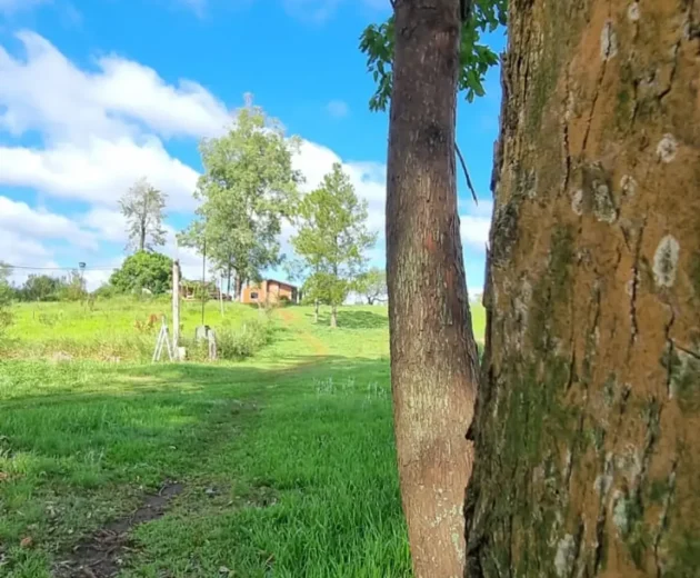 th.outside1200x1200.20062e4d09f10132bf886343cb431873f4527acd