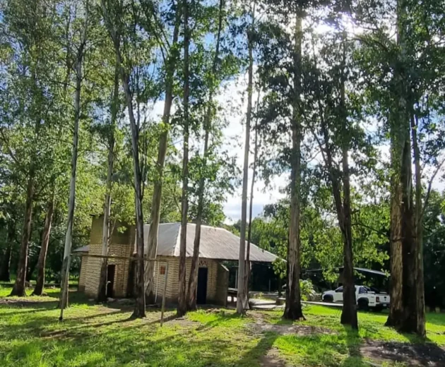 th.outside1200x1200.21e6a8fd52c2d94309b851c9b53351ecc53e304f