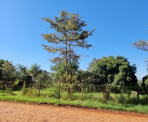 th.outside1200x1200.319b80cbef42fc1437887c8ffb7190b7ed358cc2