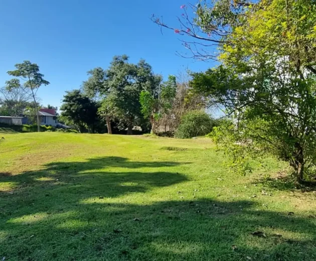 th.outside1200x1200.4c2082a3ed51537898bf1a710502897b66b69bba