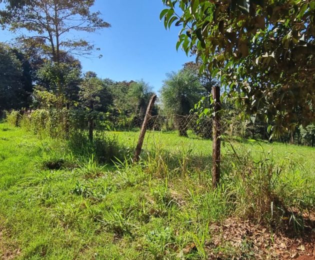 th.outside1200x1200.ab93f4c319369d73e0ed3cbe4c3dc446ff6e743a