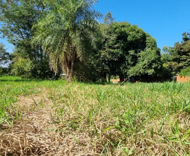 th.outside1200x1200.b17d3273741ea6238f1cc6b08de14e9b6a36c864