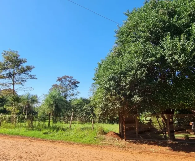 th.outside1200x1200.b31ac040d78931d4da72c22156c61d41fb387d34