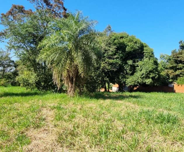 th.outside1200x1200.f00ec90e8b2a7c2b9d3a871a2a7fa83b6dfd01f2